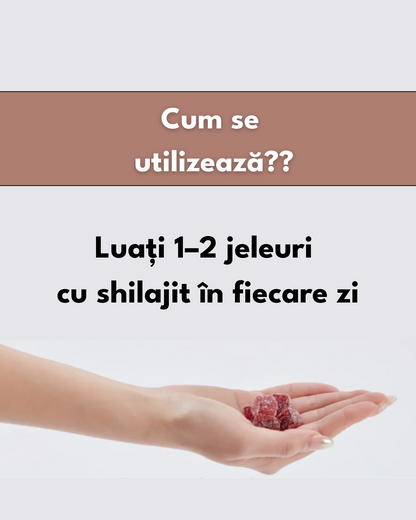 Premium Jeleuri Shilajit